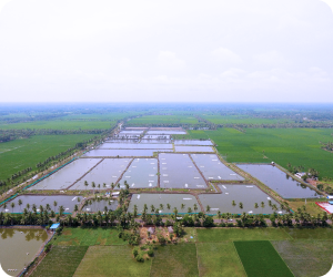 Environmental Sustainability