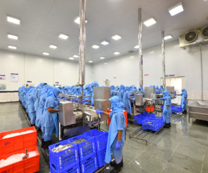 Social Responsibility